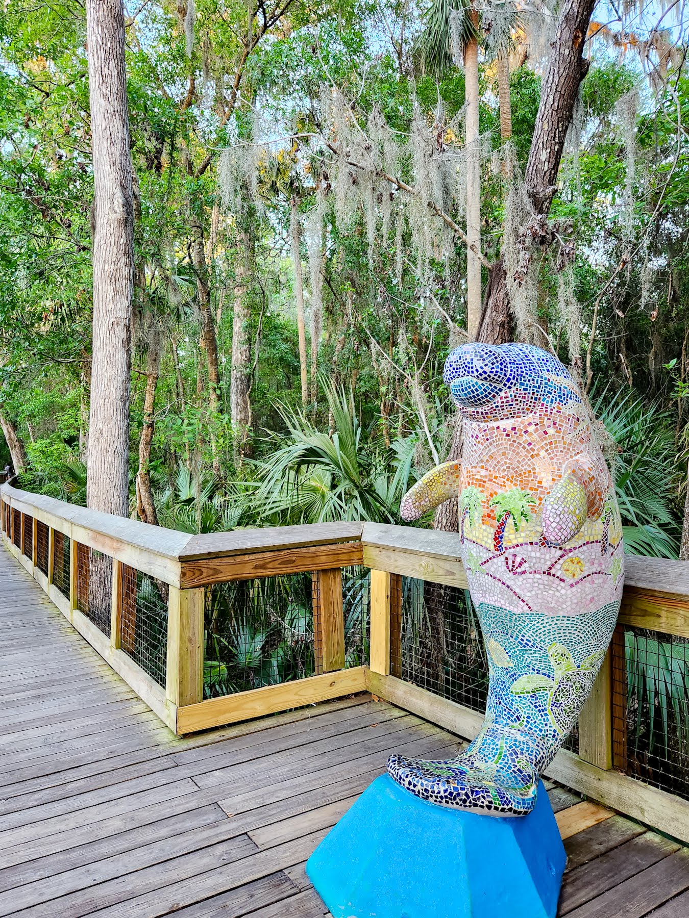 kayaking with manatees