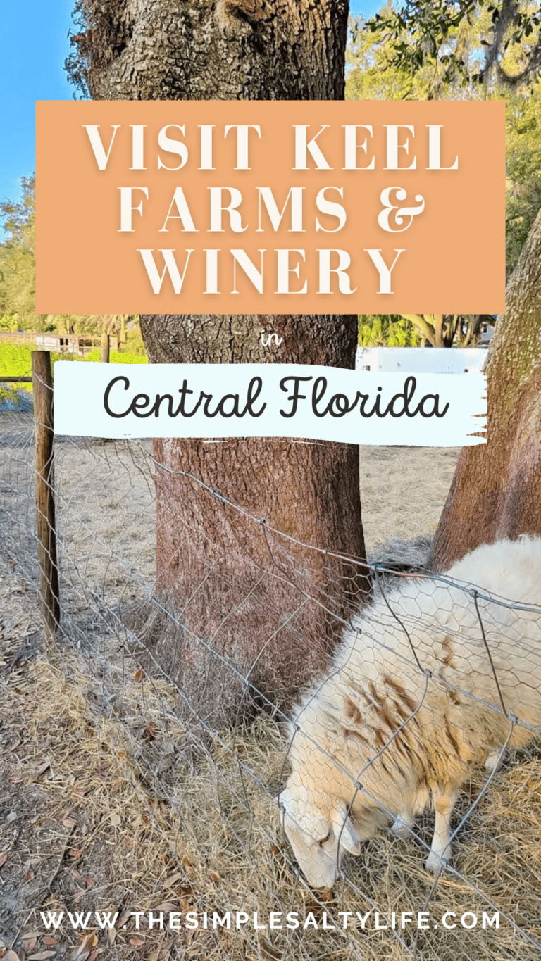 winery in Central Florida