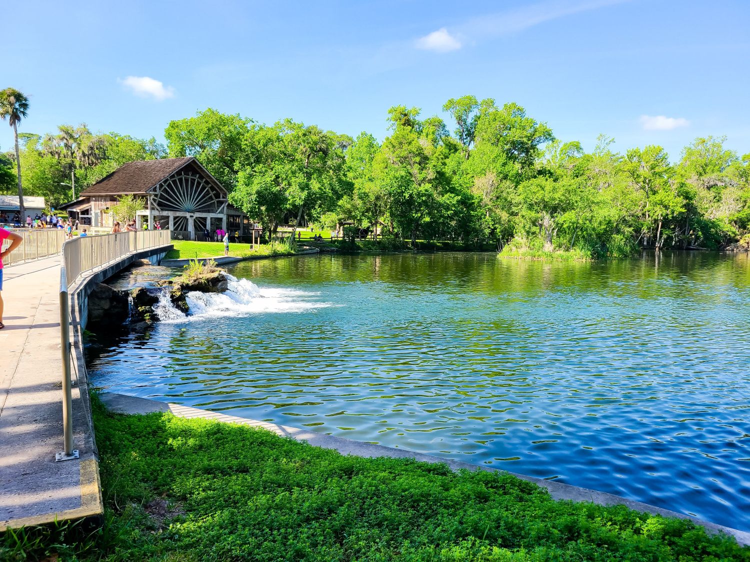 Enjoy the Best of De Leon Springs State Park