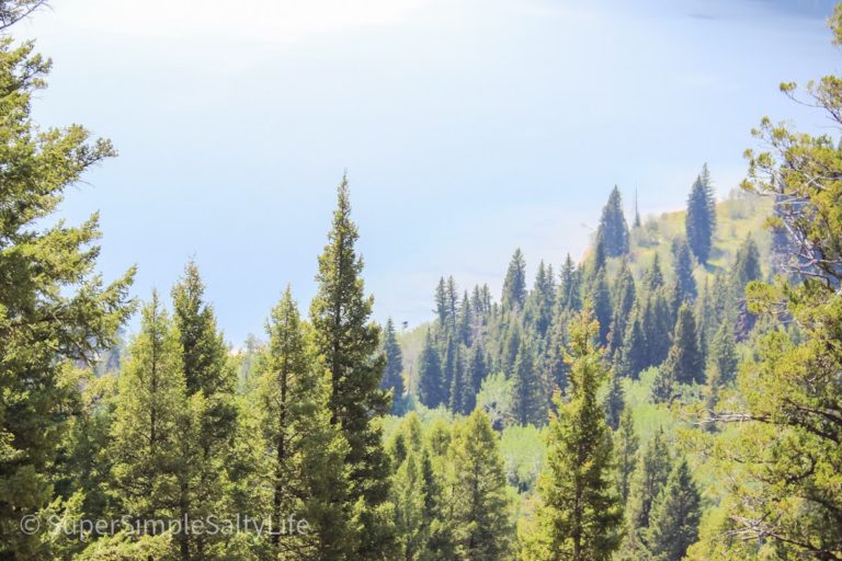 Teton National Park