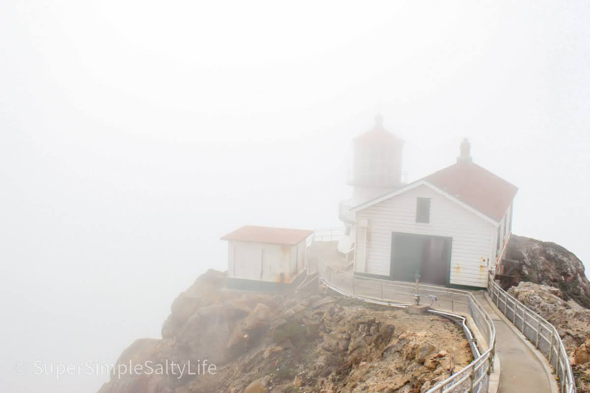 Point Reyes Drive Best Sights: Drive the California Coast • California • The Simple Salty ...