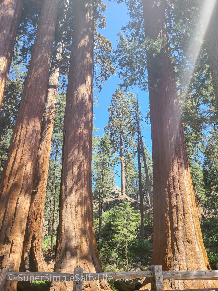 Kings Canyon Scenic byway