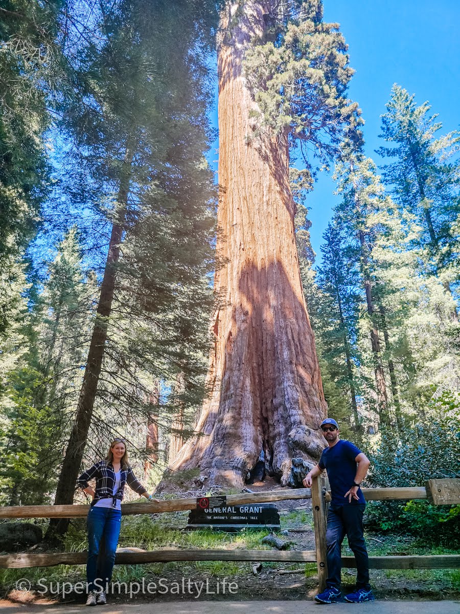 Kings Canyon Scenic byway