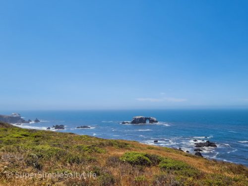Northern California coast drive