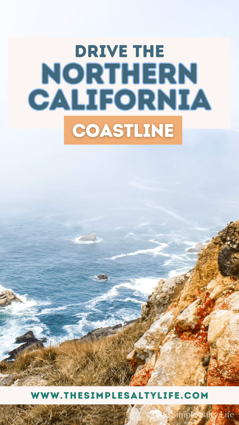 Northern California coast drive