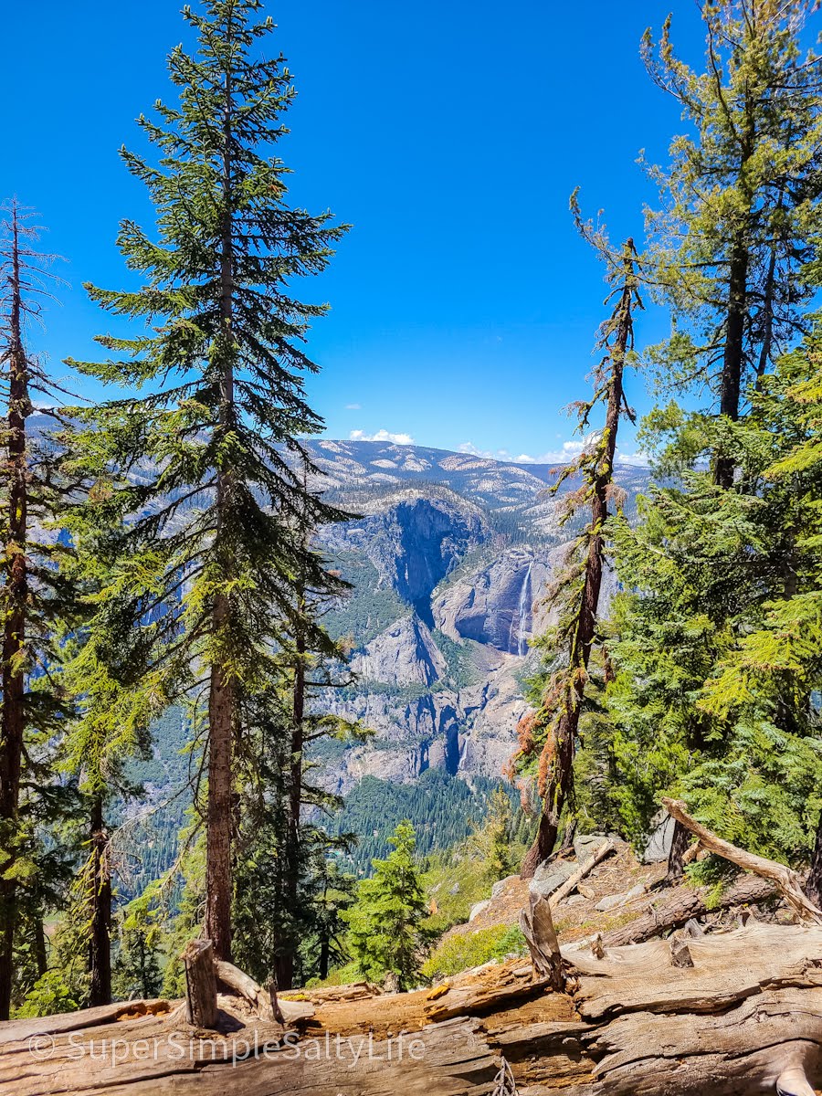 Best of Yosemite