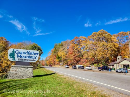 Fall Colors in North Carolina
