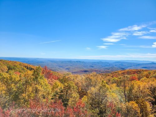 Fall Colors in North Carolina