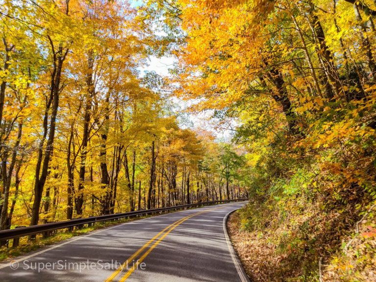 Fall Colors in North Carolina