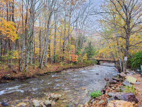 Fall Colors in North Carolina