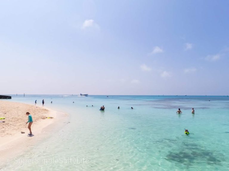 best snorkeling in the Keys