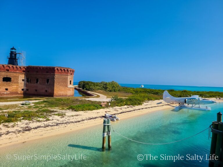 ferry to dry tortugas