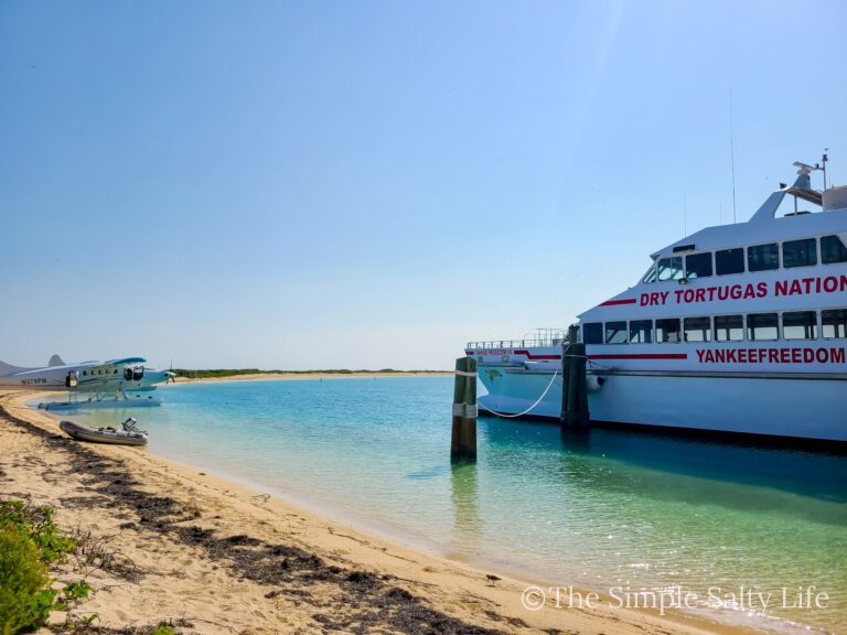 ferry to dry tortugas