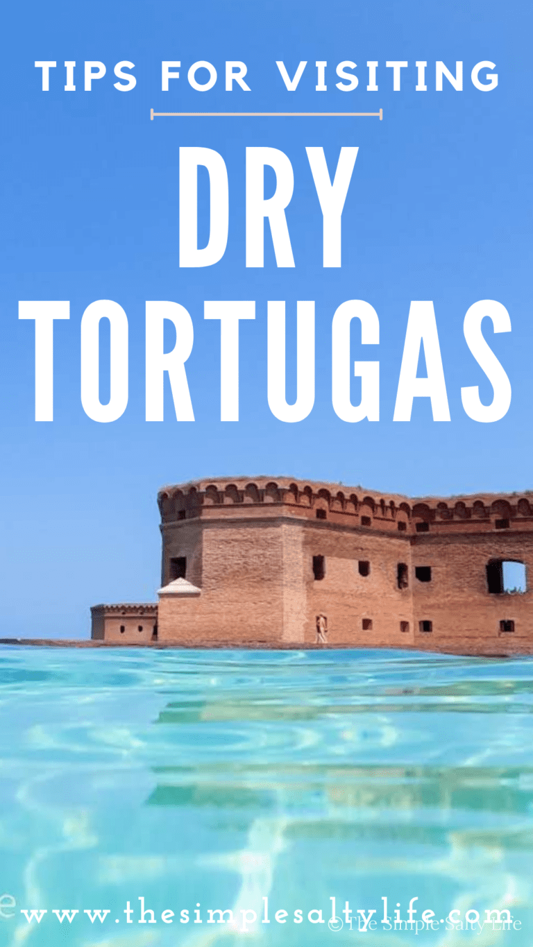 day trip to the dry tortugas