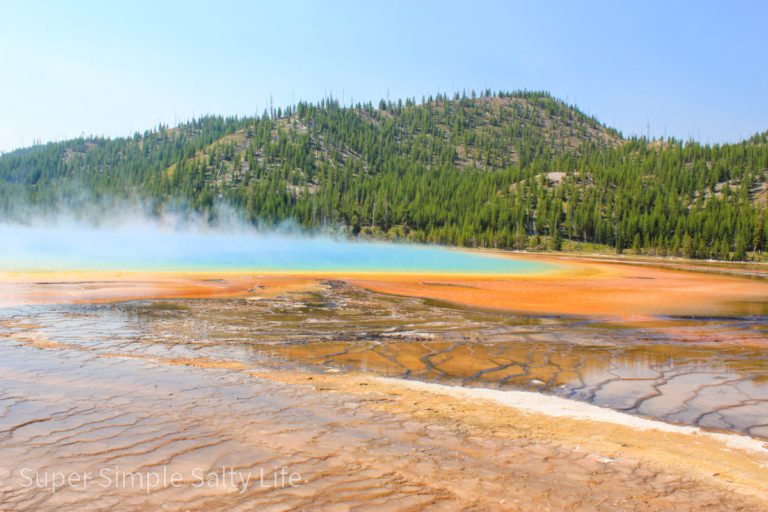 Yellowstone Family Vacation