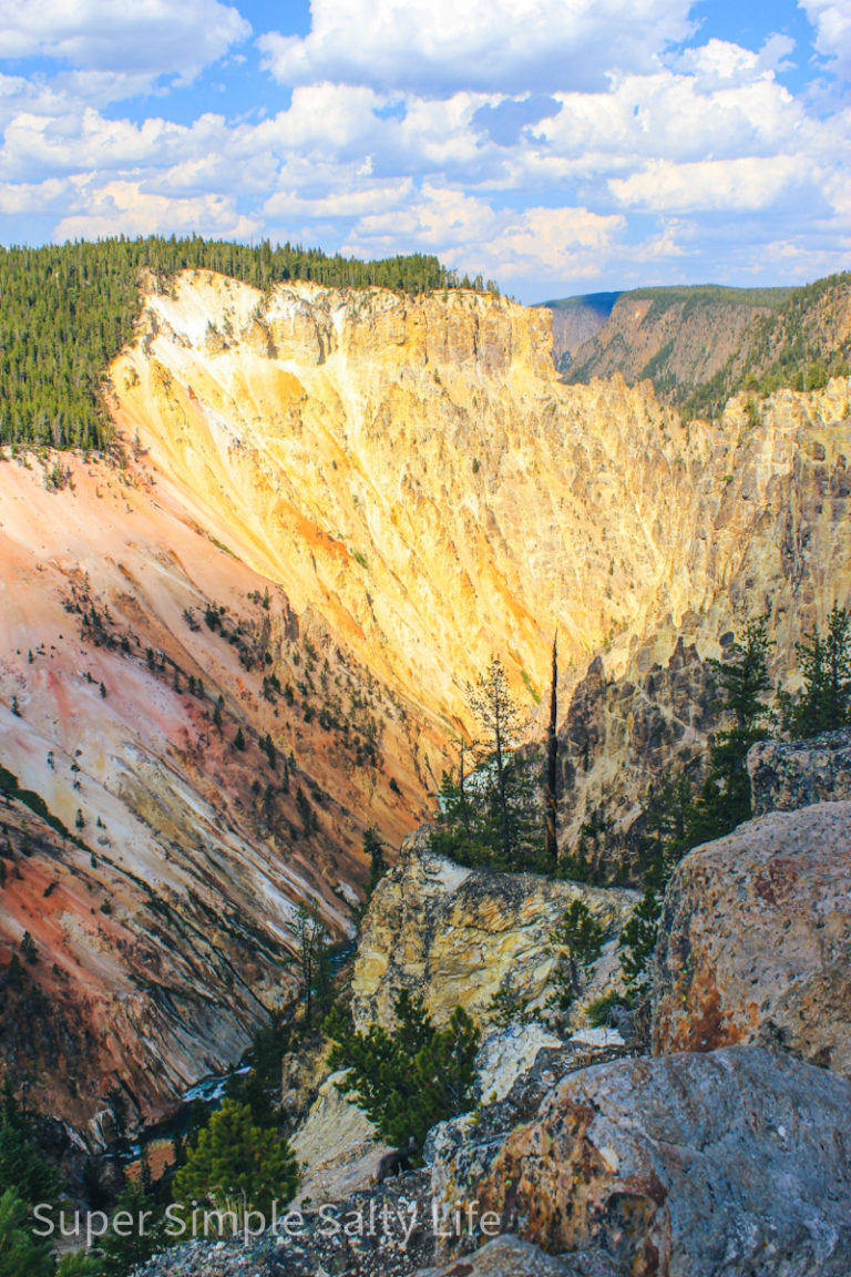One Day in Yellowstone