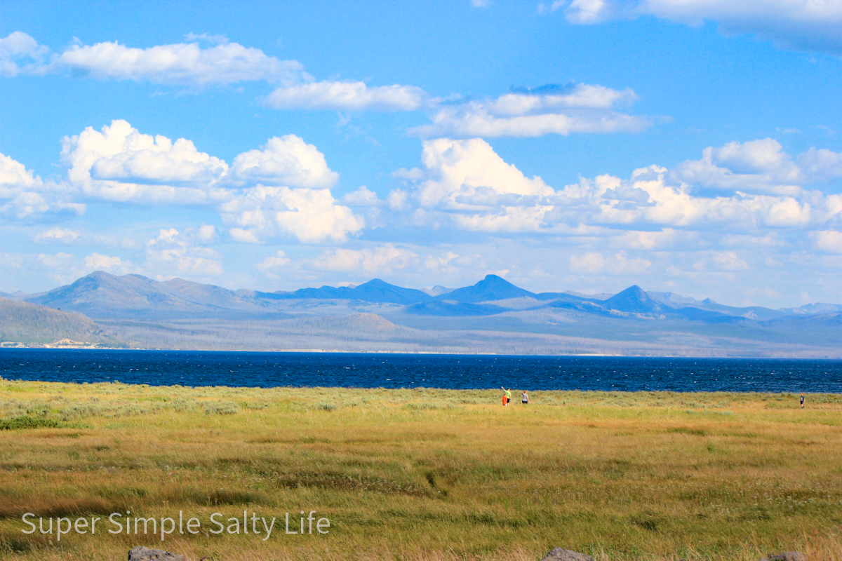 Yellowstone Family Vacation
