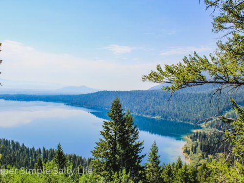 family hikes in Grand Teton