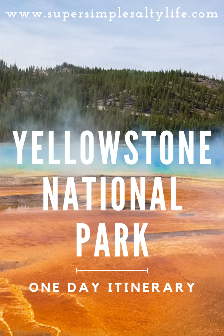 One Day in Yellowstone