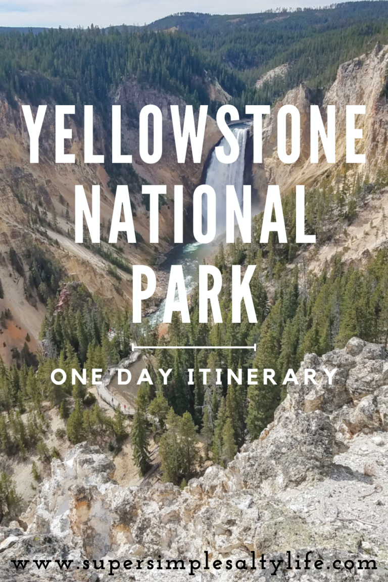 One Day in Yellowstone