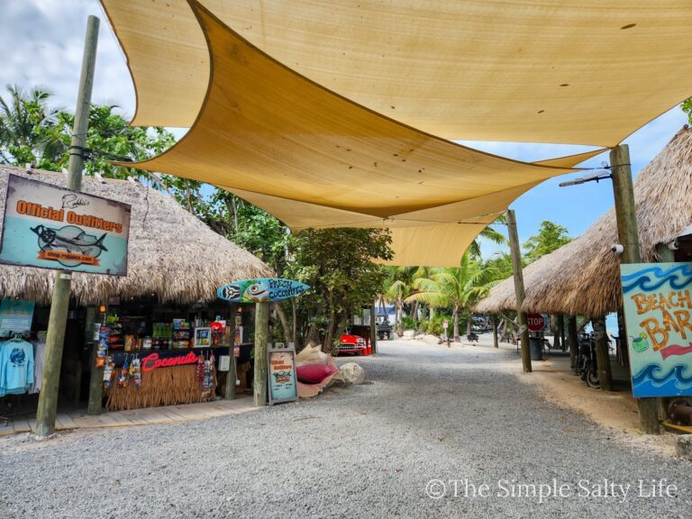 things to do in the Florida Keys for families