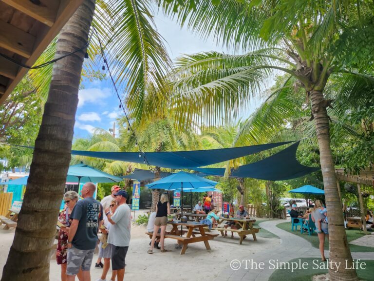 things to do in the Florida Keys for families