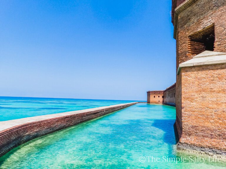 day trip to the dry tortugas