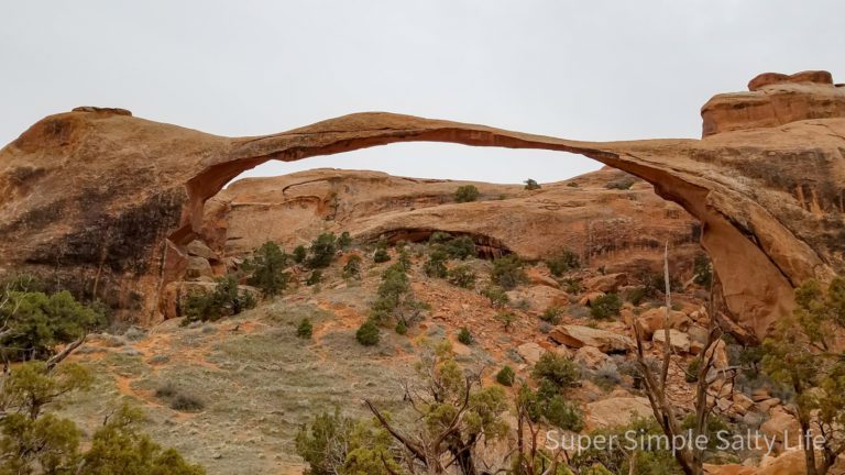 Arches National Park with kids
