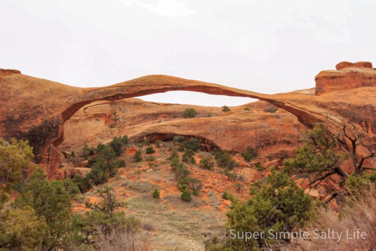 Arches National Park with kids