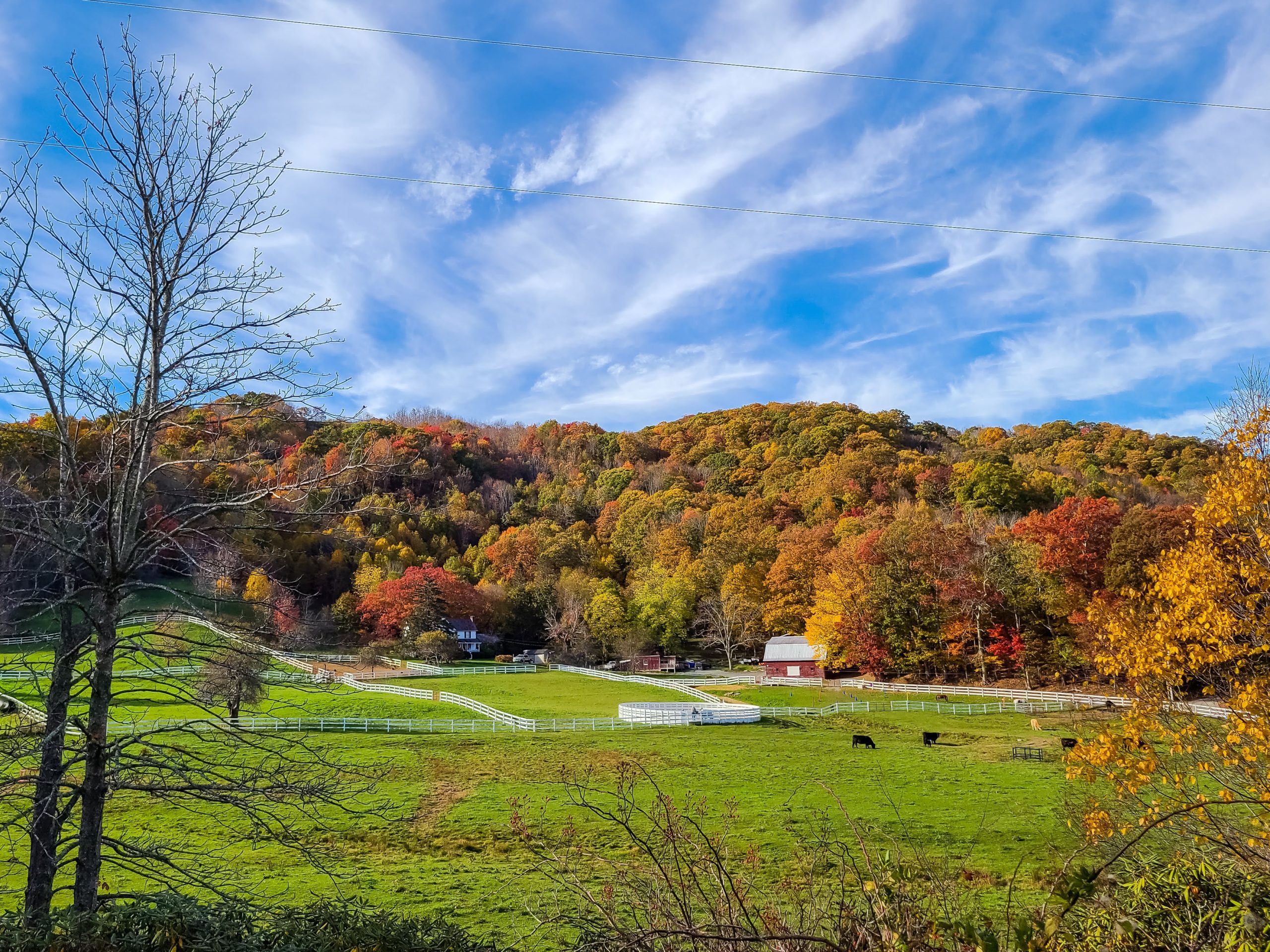 The Best Places to Experience Fall Colors in North Carolina