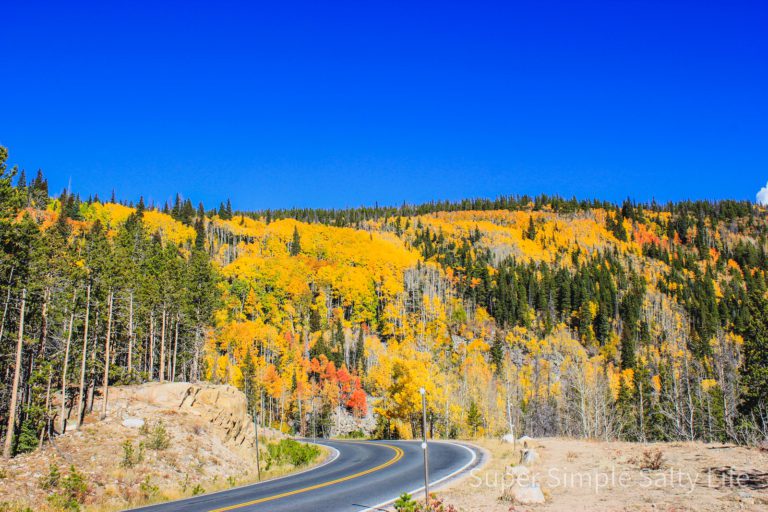 Estes Park in the fall