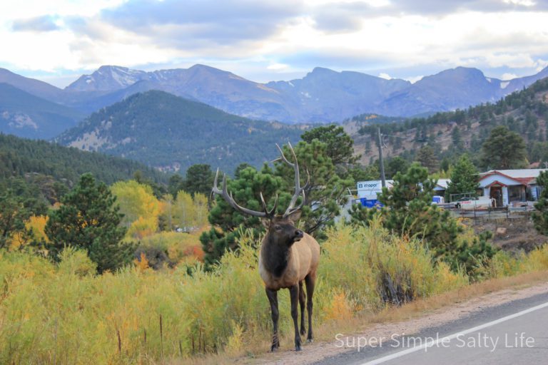 Estes Park in the fall