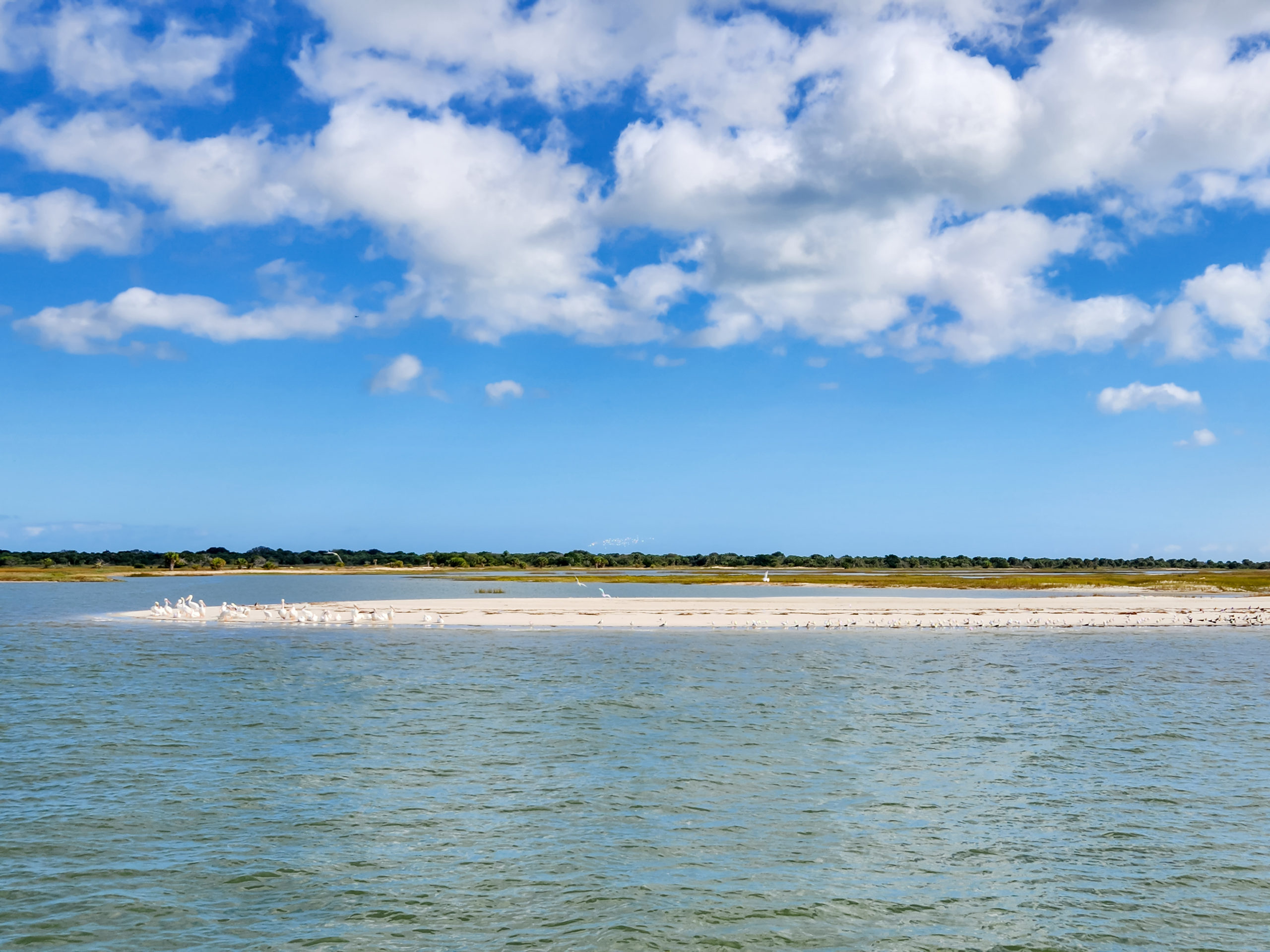 Take a Day Trip to Cumberland Island