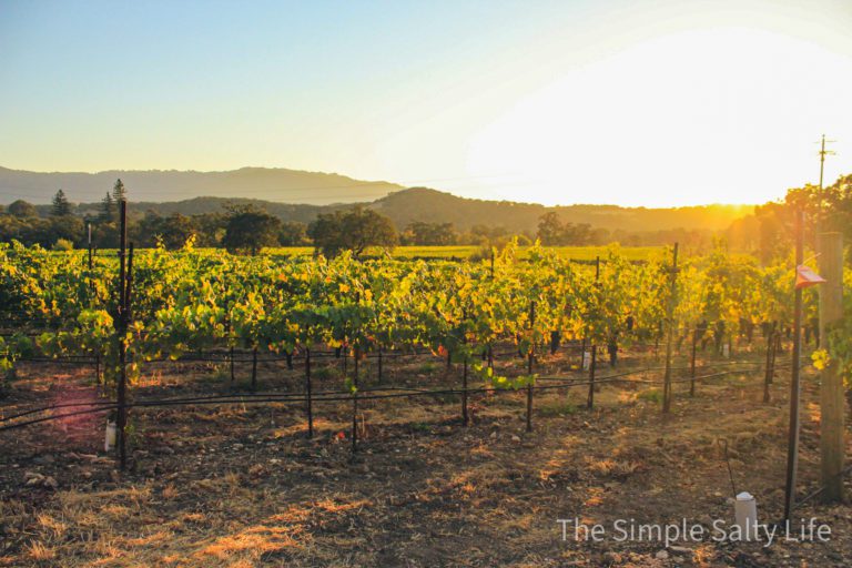 best wineries in napa with a view