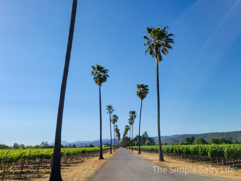beautiful wineries in Napa
