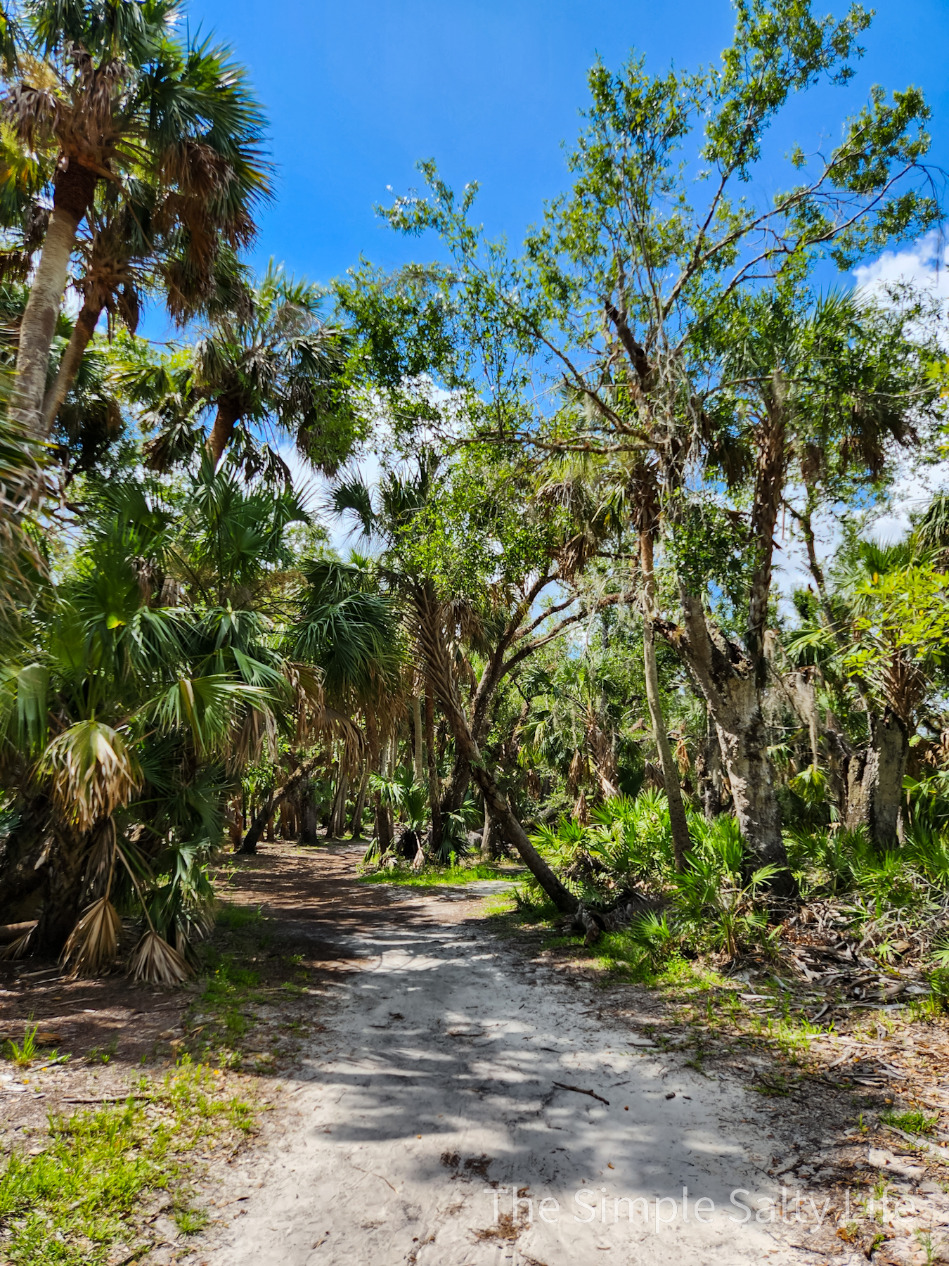 Things to do in Myakka