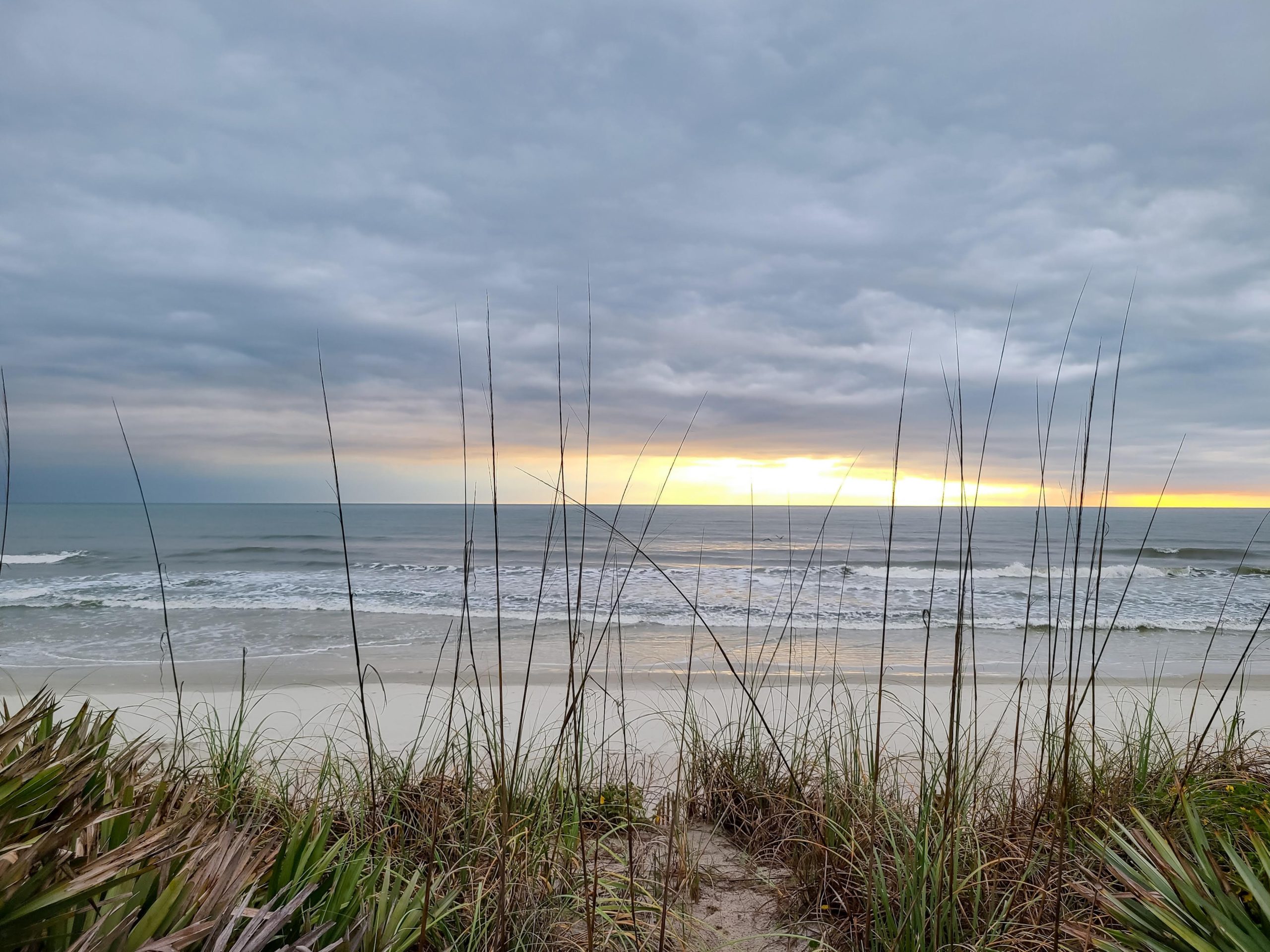 Fall Florida Trip, Day 1: Pen Shells at New Smyrna Beach! 