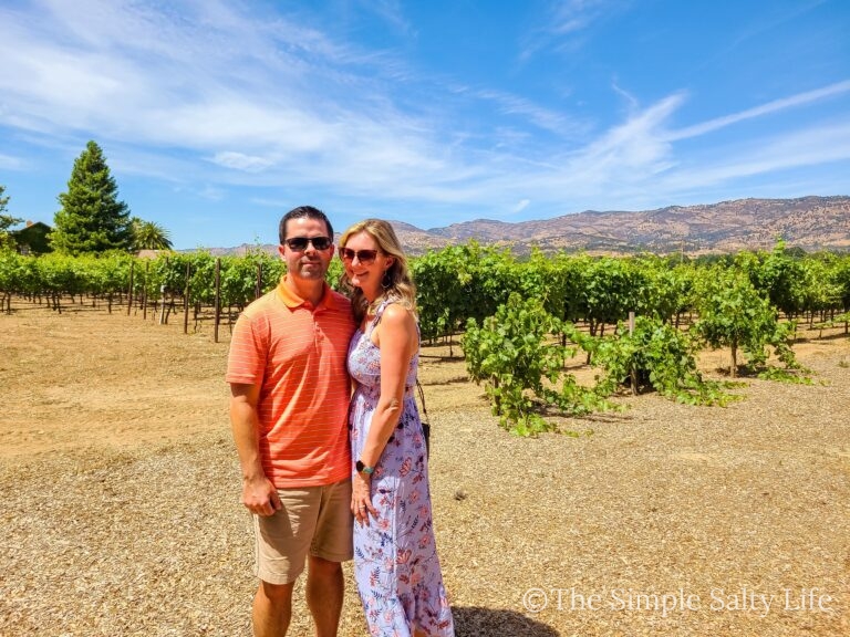 best wineries in napa with a view