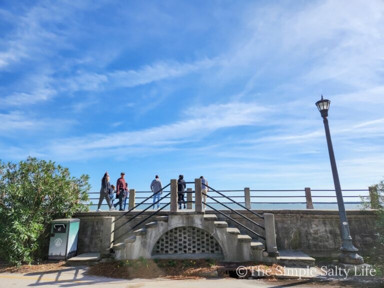 visiting Charleston with kids