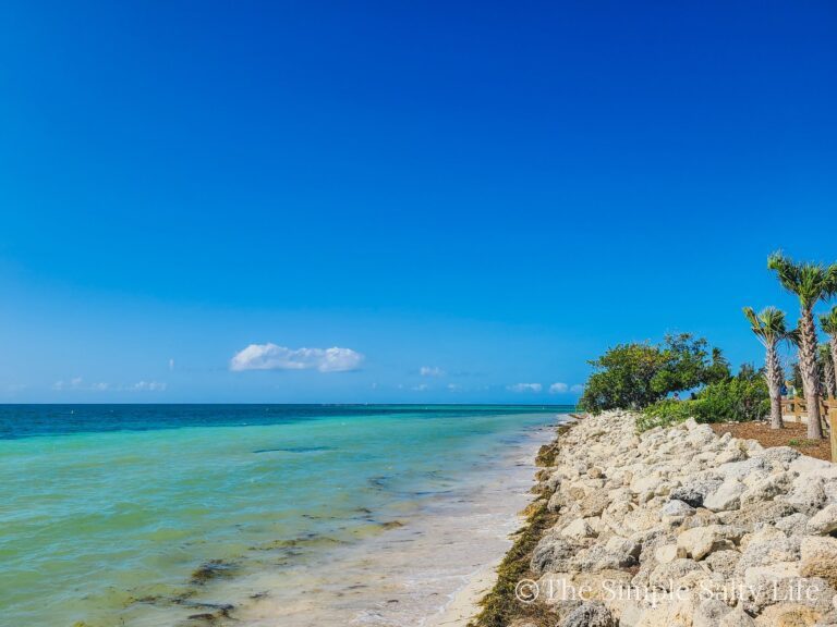 things to do in the Florida Keys for families