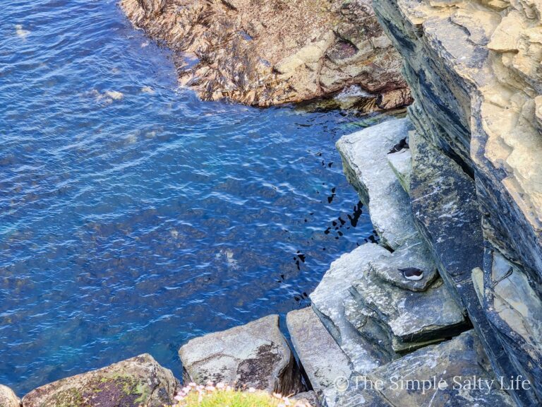 Brough of Birsay tide times