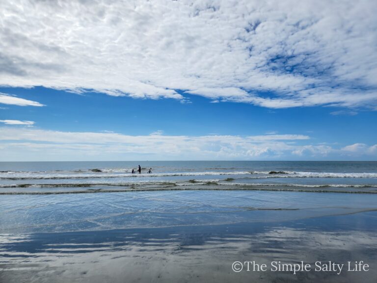 one day in Charleston