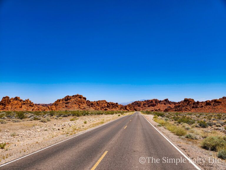 Las Vegas to Valley of Fire
