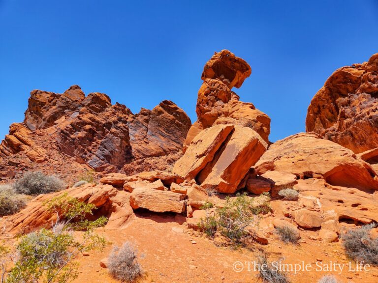 Las Vegas to Valley of Fire