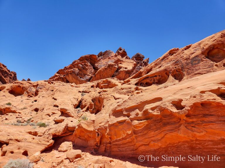 Las Vegas to Valley of Fire