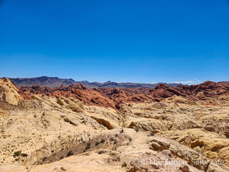 Las Vegas to Valley of Fire