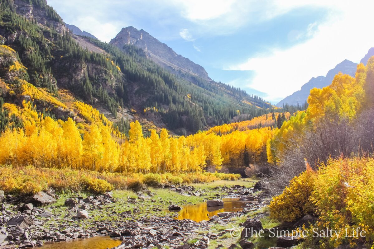 Fall Attractions Near Me