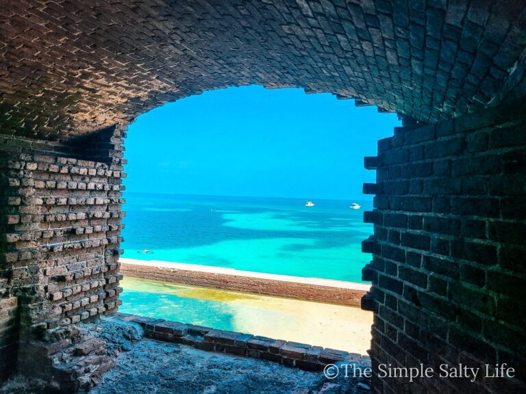 ferry to the dry tortugas