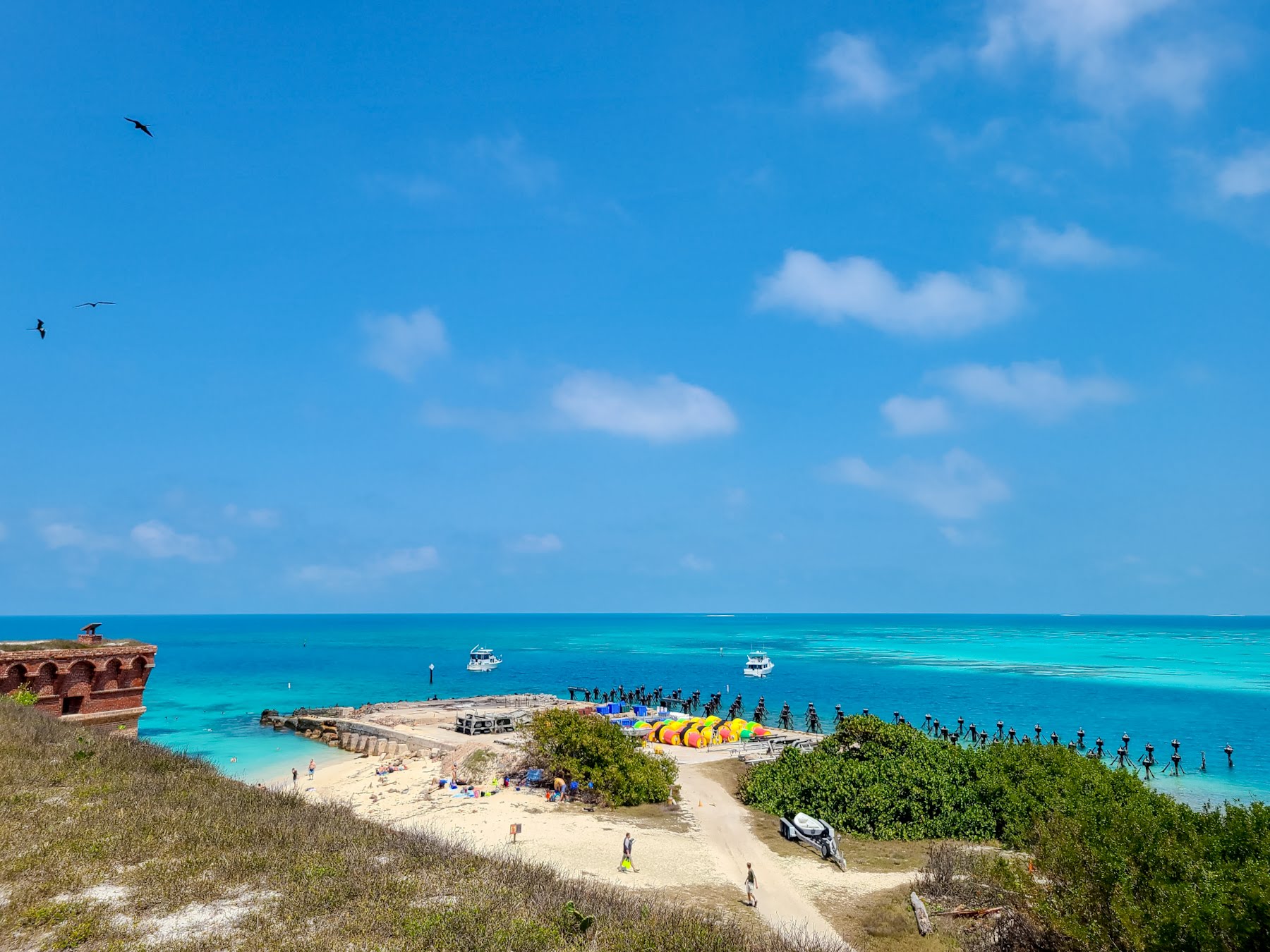 Planning the Perfect Day Trip to the Dry Tortugas National Park ...